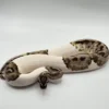 Fire Leopard Axanthic Pied Ball Python